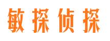 申扎寻人公司